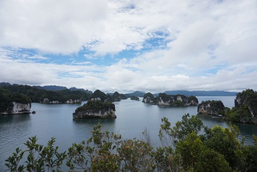 Tour Raja Ampat