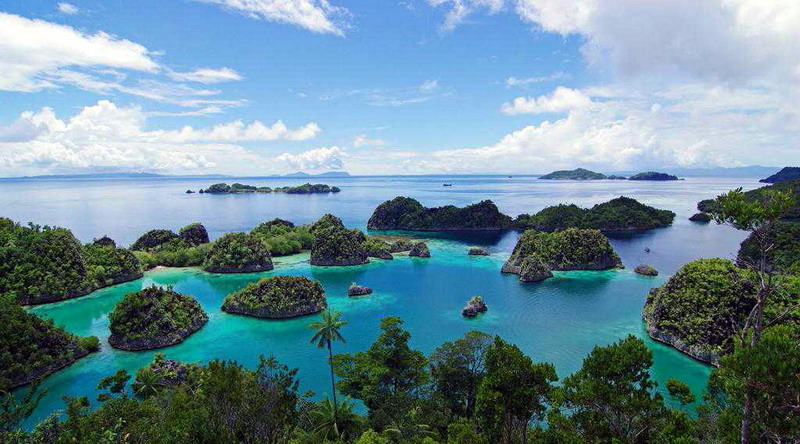 PAKET RAJA AMPAT